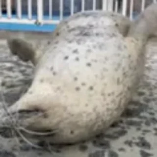 😋