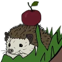 🍎