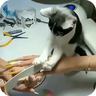 💅