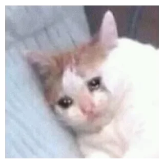 😭