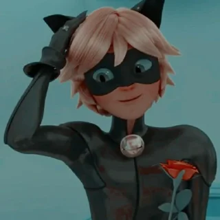 😸