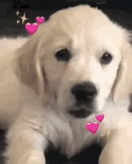 🐕