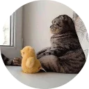 🐱