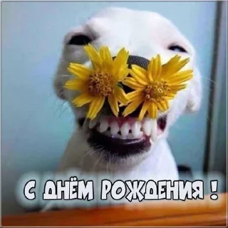 🌸