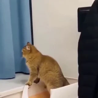 😨