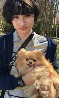 🐶