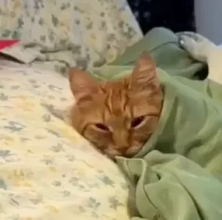 😴