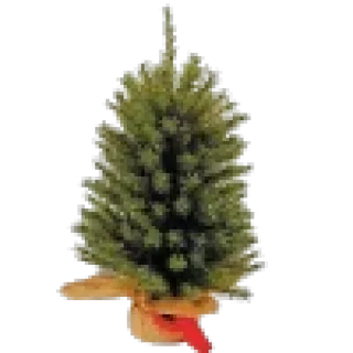 🎄