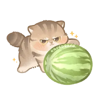 🍉