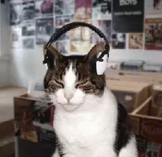 🎧