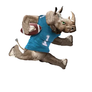 🦏