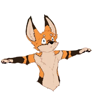 🦊