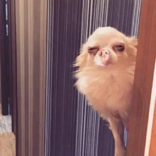 😑