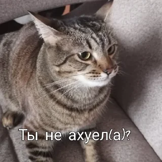 😡