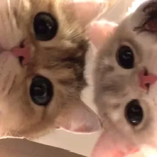 😍