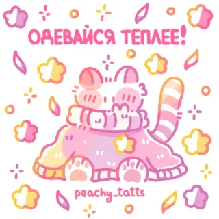 🐈