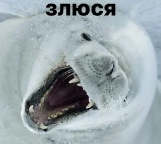 😡
