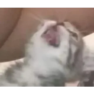 😵