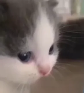 ☺