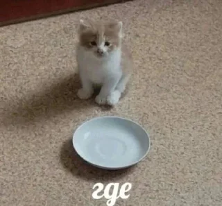 🫤