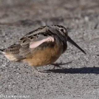 🥳
