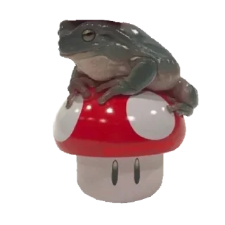 🐸