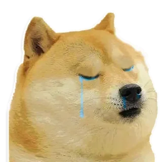 🥺