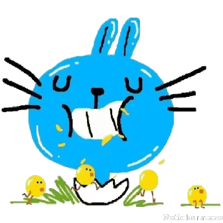 🐰
