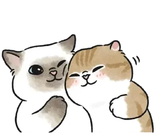 🫂