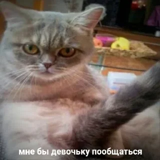 😏