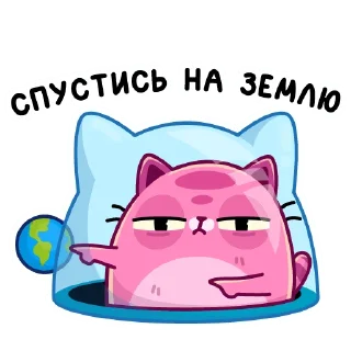 🌎