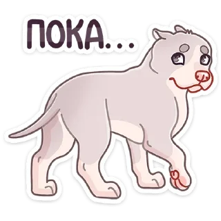 🐶