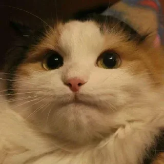 😟
