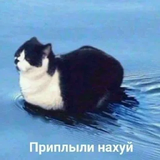 😥