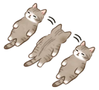 🐱