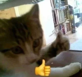 👍
