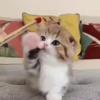 🙃