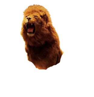🦁