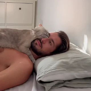 🐈‍⬛️