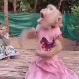 😆