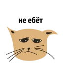 😠