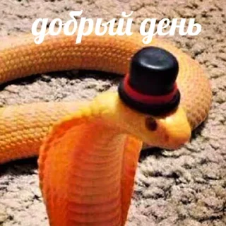 👋