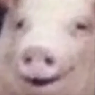 🤣