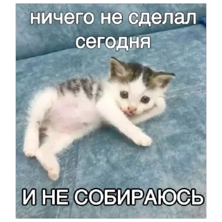 🔥