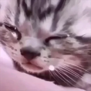 😣