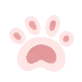 🐾