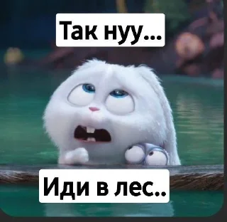🧸