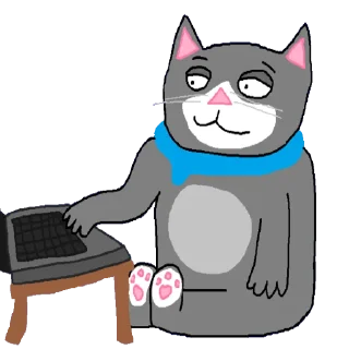 💻