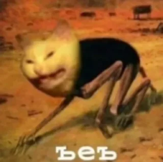 🗿