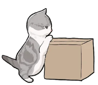 🐱